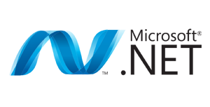 .NET  developers company 