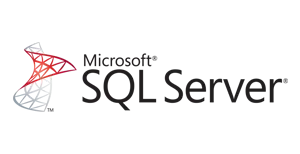 .NET  developers company 