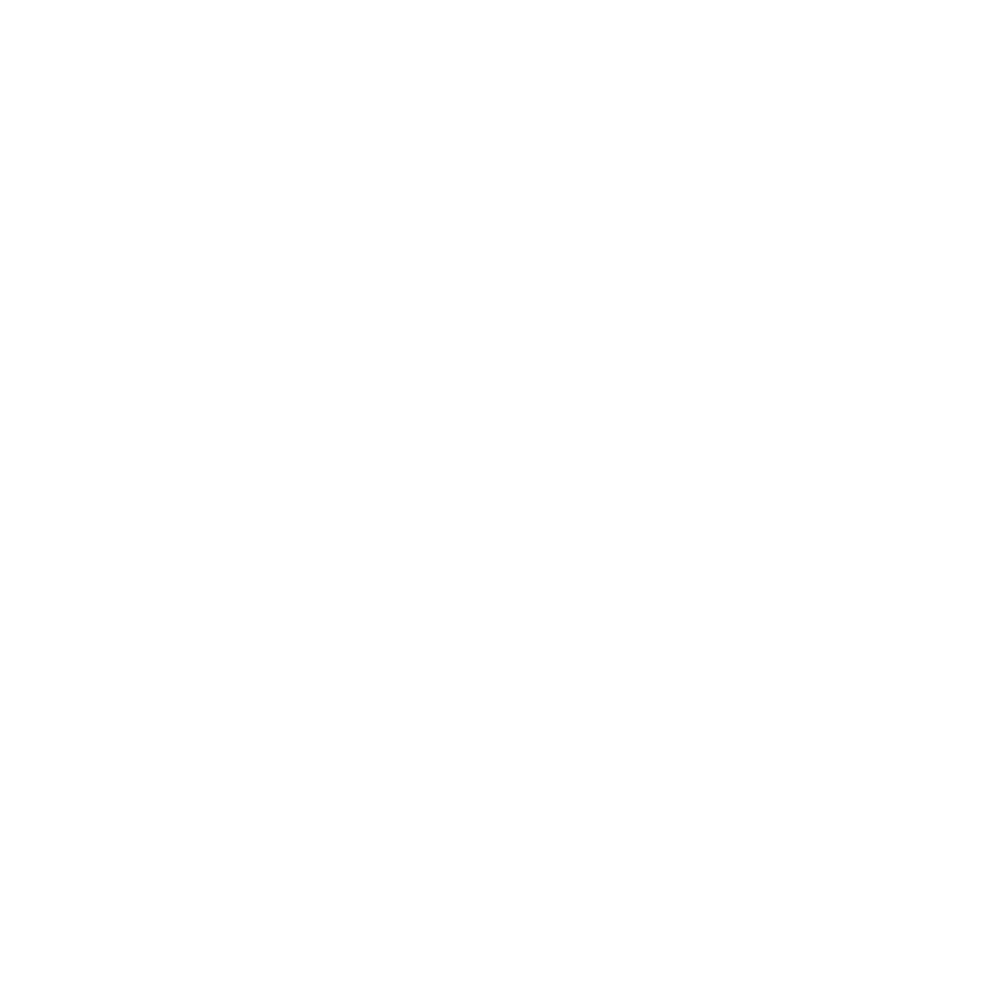 WordPress white logo