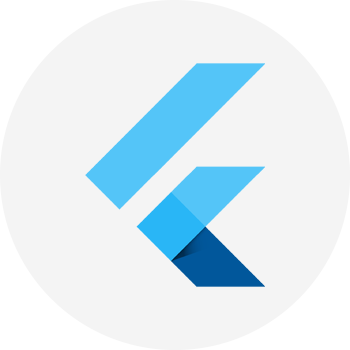 Full Stack web developer